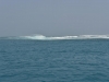 sbla_019