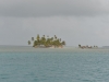 sbla_023
