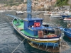 scilla_0036