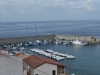 scilla_0071