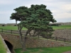 scotland_2009_024