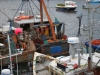 scotland_2009_047