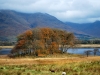 scotland_2009_057