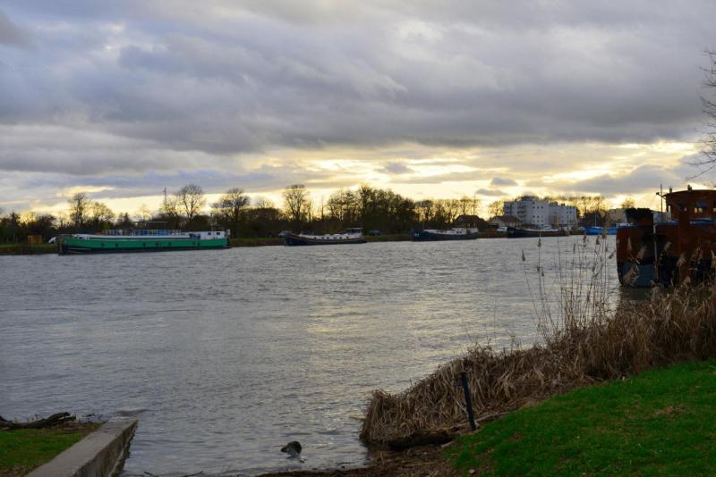 sete_2024_006