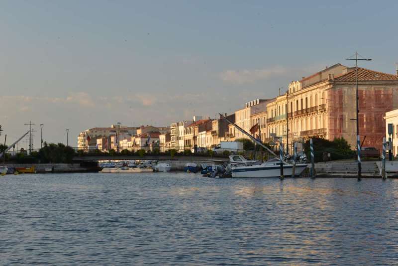 sete_0096