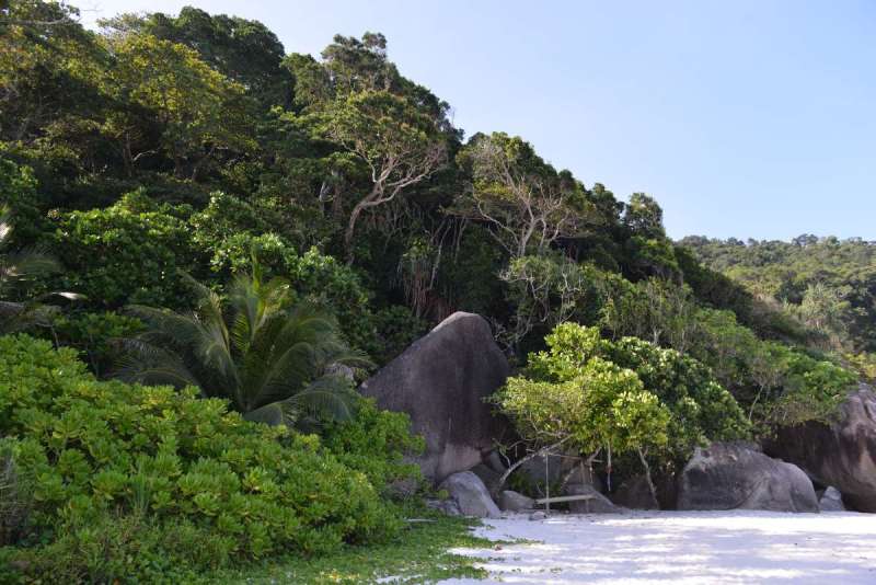similan_island_0061