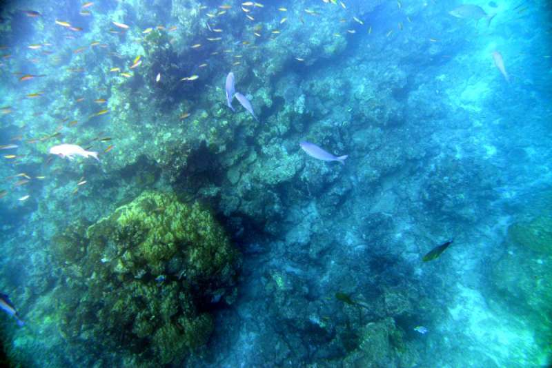 similan_island_x_0001