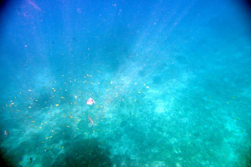 similan_island_x_0011