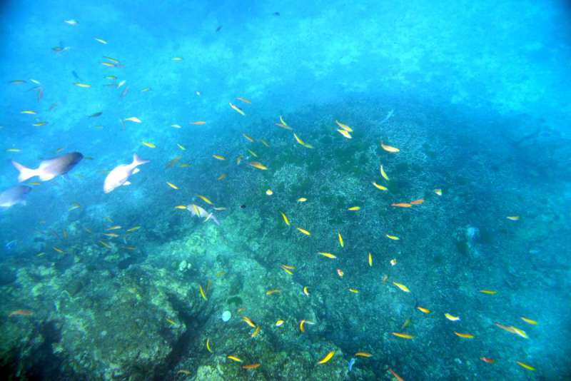 similan_island_x_0026