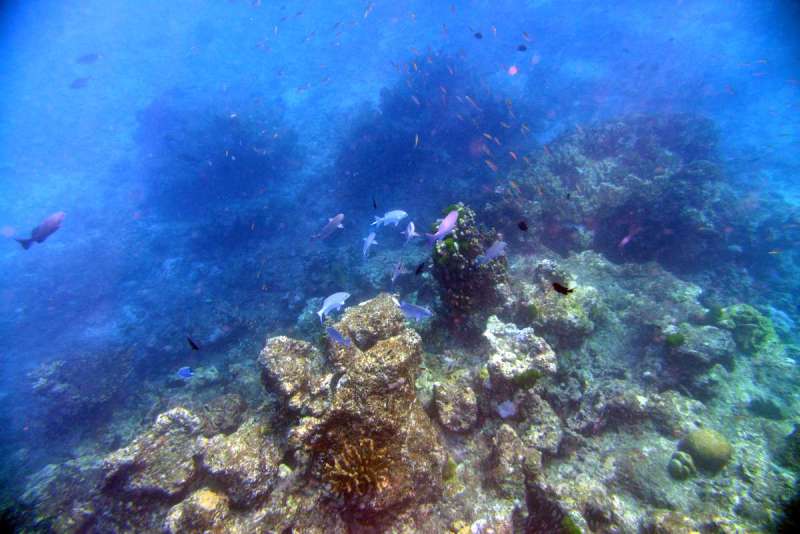 similan_island_x_0041