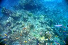 similan_island_x