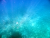 similan_island_x_0011