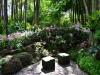 singapore_botanicgarden_0066