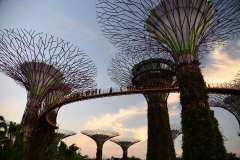 singapore_garden_by_the_bay
