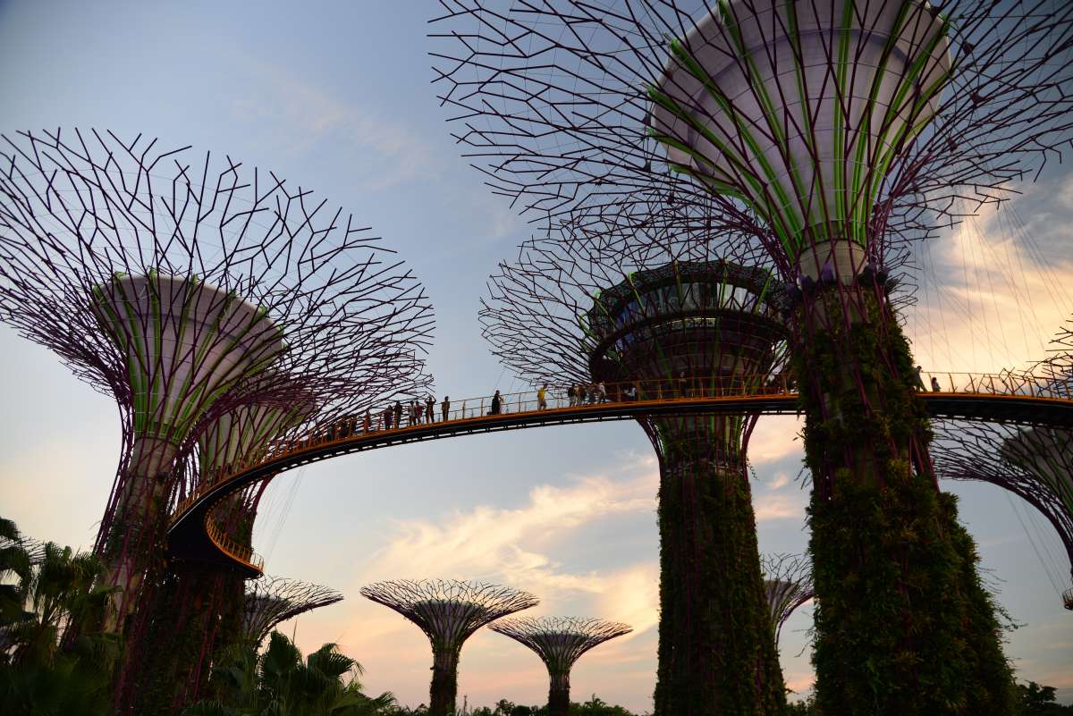 singapore_garden_by_the_bay_0001