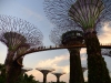 singapore_garden_by_the_bay_0001