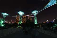 singapore_garden_by_the_bay2