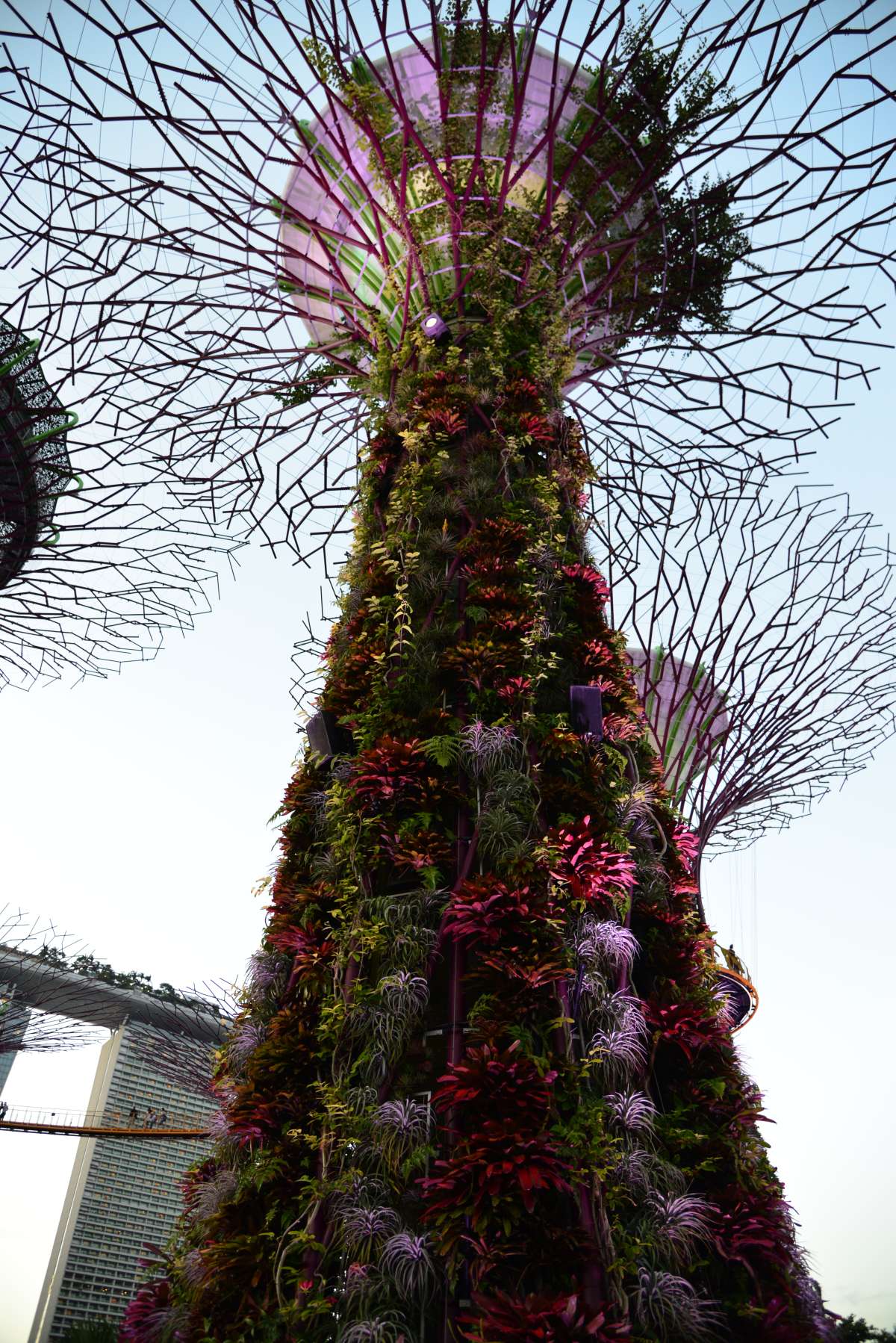 singapore_garden_by_the_bay_0006