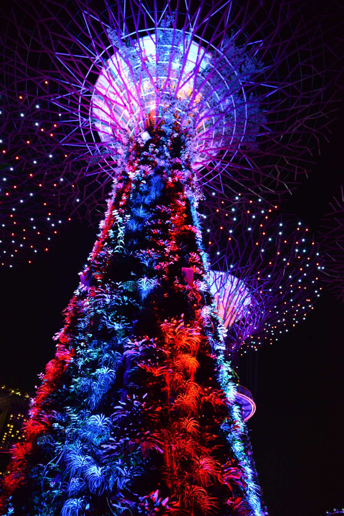 singapore_garden_by_the_bay_0011