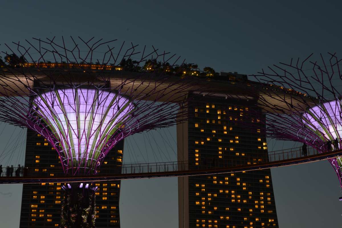singapore_garden_by_the_bay_0021