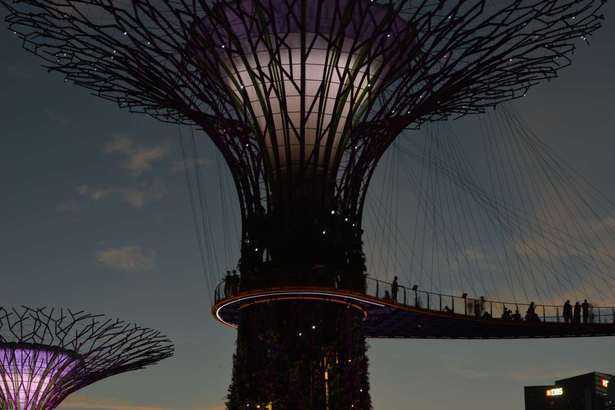 singapore_garden_by_the_bay_0026