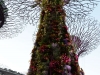 singapore_garden_by_the_bay_0006