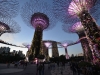 singapore_garden_by_the_bay_0016