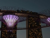 singapore_garden_by_the_bay_0021