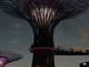 singapore_garden_by_the_bay_0026