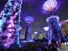 singapore_garden_by_the_bay_0031