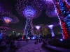 singapore_garden_by_the_bay_0036