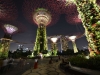 singapore_garden_by_the_bay_0041