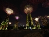 singapore_garden_by_the_bay_0046