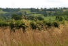 somerset_0001