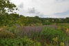 somerset_0016
