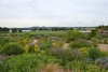 somerset_0026