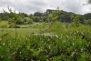 somerset_0066