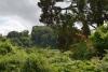 somerset_0076