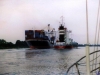 sommer2003_034