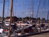 sommer2003_082