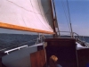 sommer2003_084