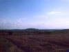 sommer2003_115
