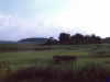 sommer2003_117