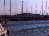 sommer2003_121