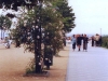sommer2004_022