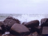 sommer2004_024