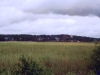 sommer2004_027
