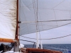 sommer2004_052