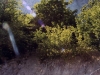 sommer2004_058