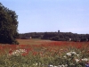 sommer2004_064